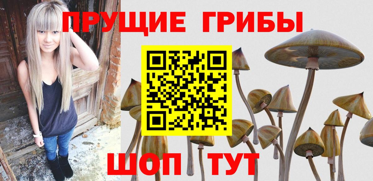 Курганинск  Псилоцибиновые грибы мухоморы  Вход с VPN 